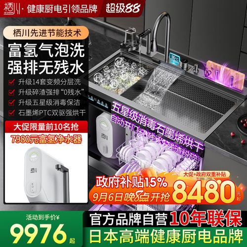 日本栖川集成水槽碎渣强排分层洗