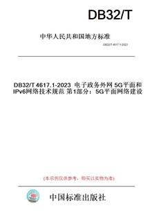 纸版 2023电子政务外网5G平面和IPv6网络技术规范第1部分：5G平面网络建设 图书 T4617.1 此标准为江苏省地方标准 DB32