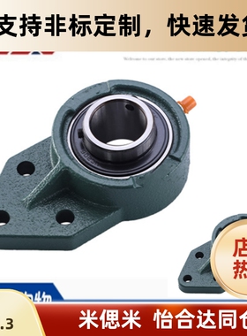 带座轴承带悬挂式座外球面轴承T-BDB06-203 204 205 06 07 08 09