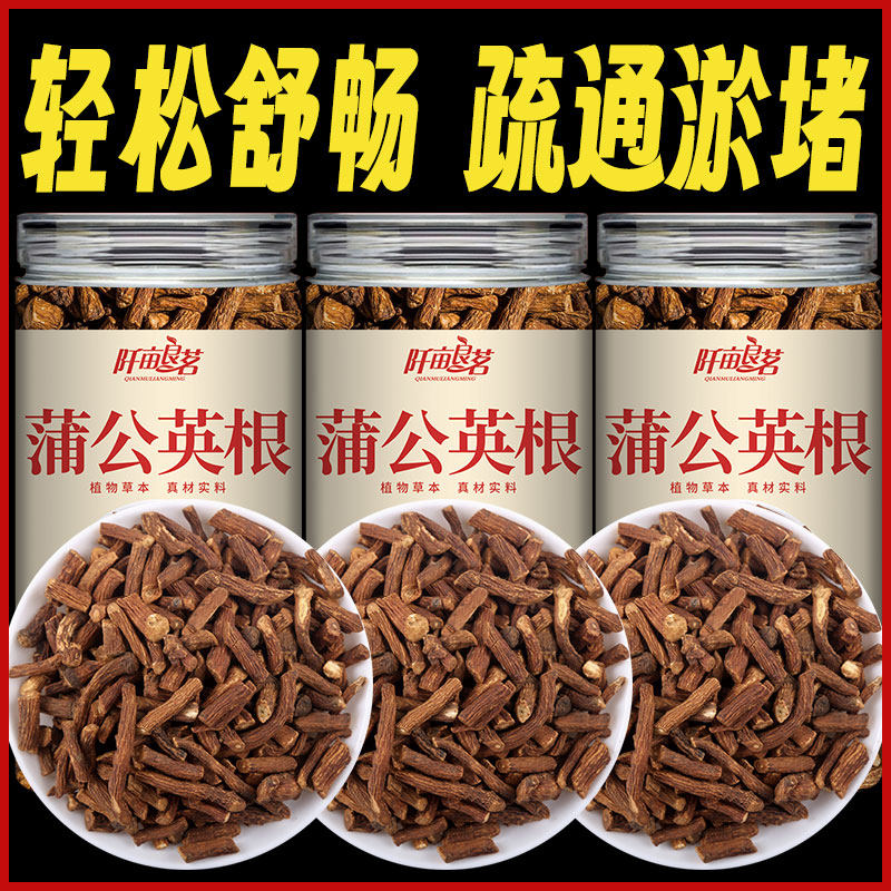 蒲公英根茶长白山浦公英根干片正品官方不特级非中药材野生300g罐