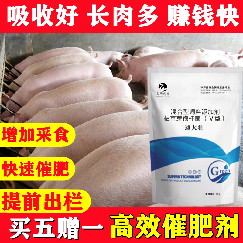 猪催肥增重长的快猪饲料添加剂开胃促生长素速大壮猪用增肥一号