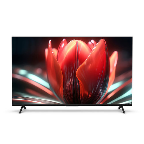 Philips/飞利浦 65PML8799/T3