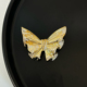 2025年新款 高级感轻奢金色蝴蝶胸针女士西装 配饰别针大衣毛衣胸花