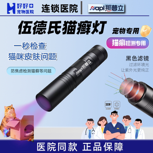 好好宠物医院猫癣检测真菌检测