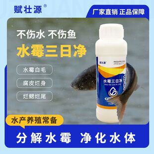 水霉病专治鱼药水霉净水产用白毛腐皮溃烂灵鱼烂身烂尾药水霉克星