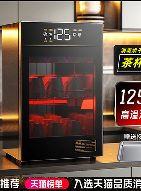 德国免沥水茶杯消毒柜家用小型