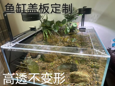 亚克力鱼缸盖板盖子上盖防蒸发防猫防跳缸保温海鲜缸盖板任意定制