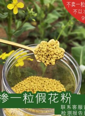 用鲜油蜂花粉可食天然正品菜未破壁青海高原纯DSS粉纯正一新斤