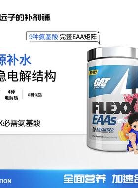 GAT概E特EAAs FLEXX酸需氨基酸AA必须氨基/DYL必全谱氨基酸360g补