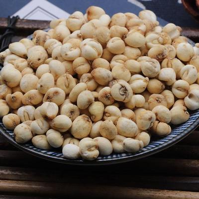 无川贝UDG母0克 原料打 硫粉可5以备注