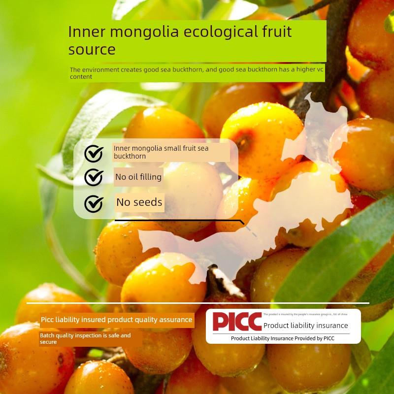 纯沙棘原浆蒙官方正装无添加100UCJ%NFC果汁品鲜果鲜内榨500ml瓶