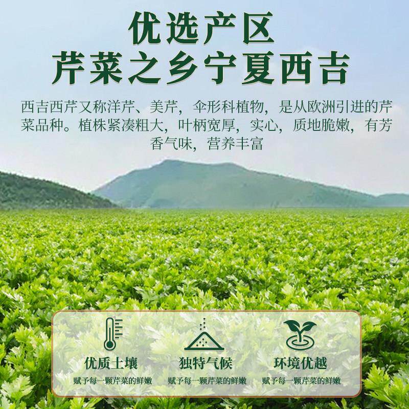 纯加西芹汁果蔬菜汁饮芹菜抗GRA汁轻断食覆合果汁料纯果汁无添无