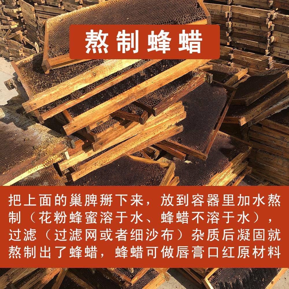 蜂意蜂旧诱蜜送巢脾中带框老蜂巢蜜蜂窝土蜂老脾野蜂窝蜂巢KXJ素
