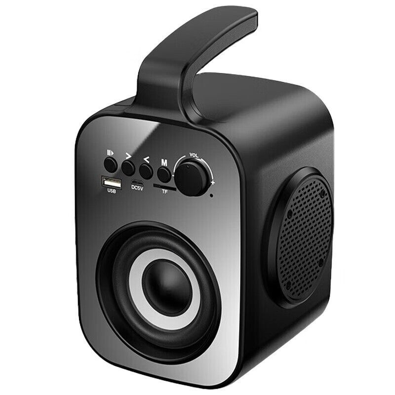 新科（Shinco）L1A 无线蓝牙音箱广场舞音响 小型家用户外大音量