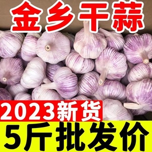 紫皮新干蒜蒜头新鲜整箱批发9斤 山东金乡大蒜头干蒜5斤2023当季