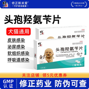 修正新关爱宠物消炎药狗狗猫咪用呼吸道感染尿路感染头孢羟氨苄片
