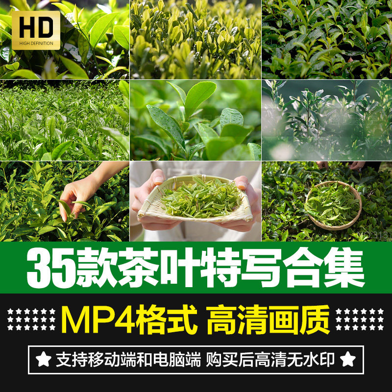 绿色茶叶采摘冲泡倒茶喝茶文化茶园茶山实景航拍风景短片视频素材