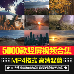 竖屏人物抒情感治愈自然风景旅拍夜景无配音字幕混剪短片视频素材