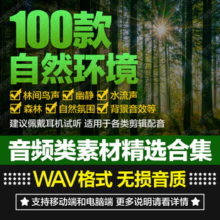 大自然森林虫鸣鸟叫河溪流水声乡村田园环境声音剪辑配乐音频素材