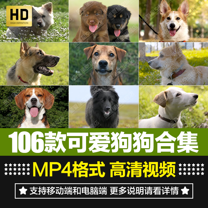 非实物 不快递 自动发货 网盘下载