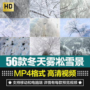 高清冬天雪花飘落雾凇雪景下雪树枝积雪结冰特写短片剪辑视频素材