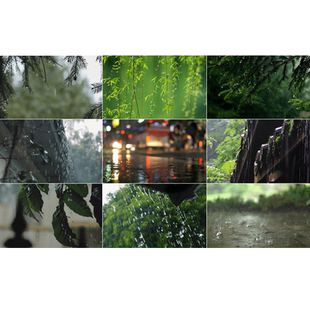 唯美意境下雨天空树叶水滴水珠雨中屋檐伤感治愈短片剪辑视频素材