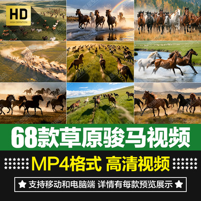 大草原骏马策马奔腾万马群驰骋马儿奔跑大屏幕背景短片头视频素材