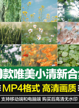 唯美绿色清新花朵树叶自然阳光