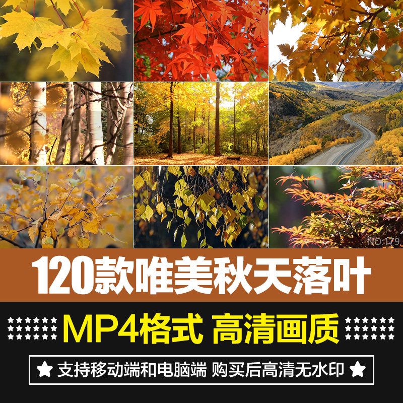 唯美秋天风景怀旧伤感落叶红叶枫叶树叶飘落实拍自媒体短视频素材