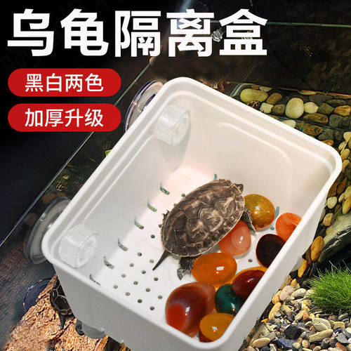乌龟隔离盒黑白色发分隔盒鱼缸龟缸隔离盒养龟专用分离盒孵化盒