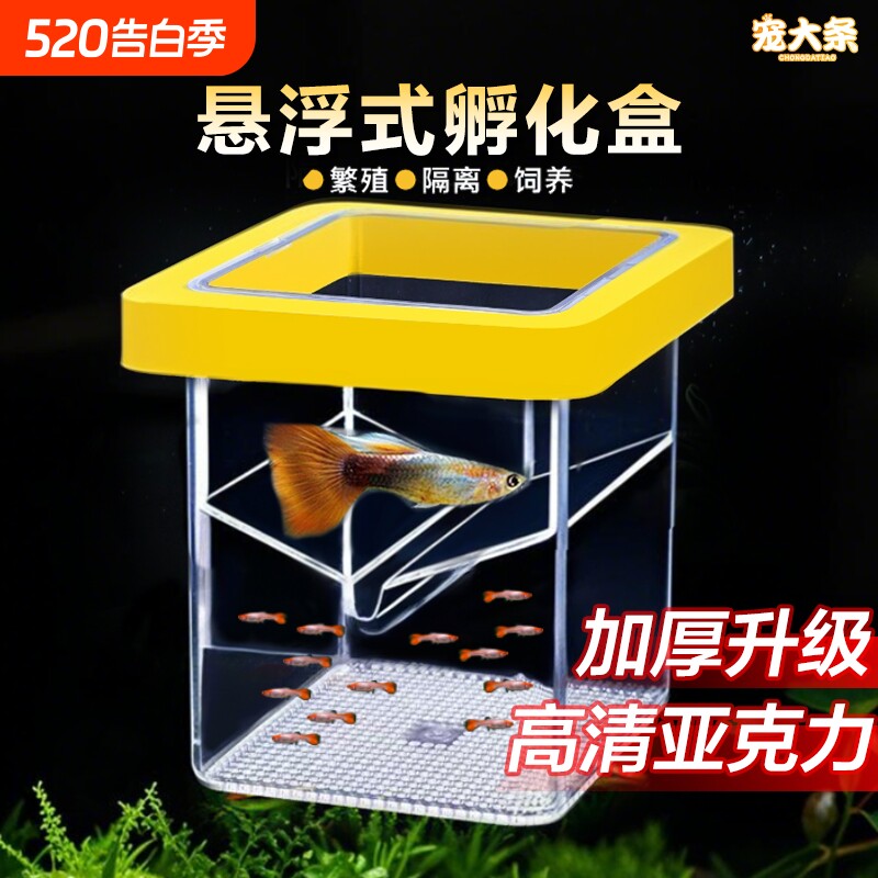 鱼缸繁殖隔离器悬浮式母鱼孵化器孔雀鱼凤尾鱼繁殖盒固定方形
