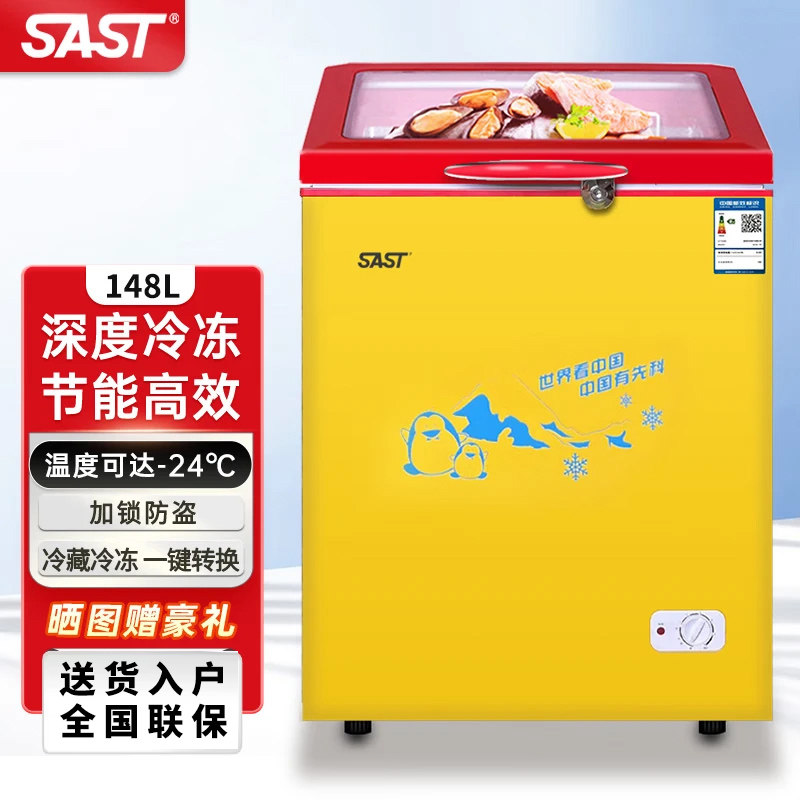 SAST先科商用雪糕柜小型冰柜冷藏冷冻展示柜家用迷你冷柜大容量