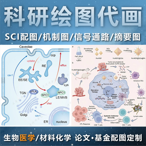 SCI信号通路医学机制绘图