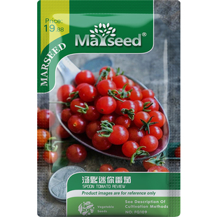 秘鲁迷你红色甜豌豆可爱醋栗汤匙番茄种子籽孑深受孩子们喜爱