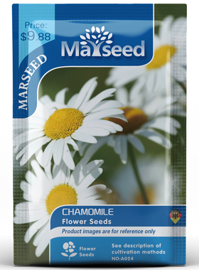 【MARSEED火星家】进口德国罗马洋甘菊柠檬 彩虹薰衣草花种子盆栽