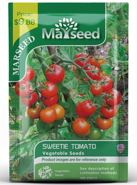 【MARSEED火星家】传家宝 超甜点小圣女果樱桃番茄种子苗