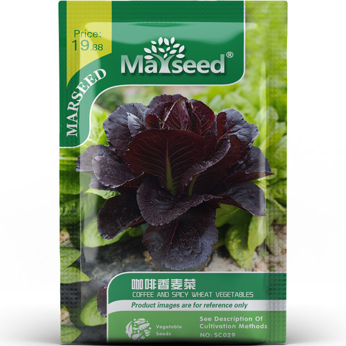 高颜值脆甜清香咖啡香麦菜种子种苗清炒凉拌做汤盆栽蔬菜B178
