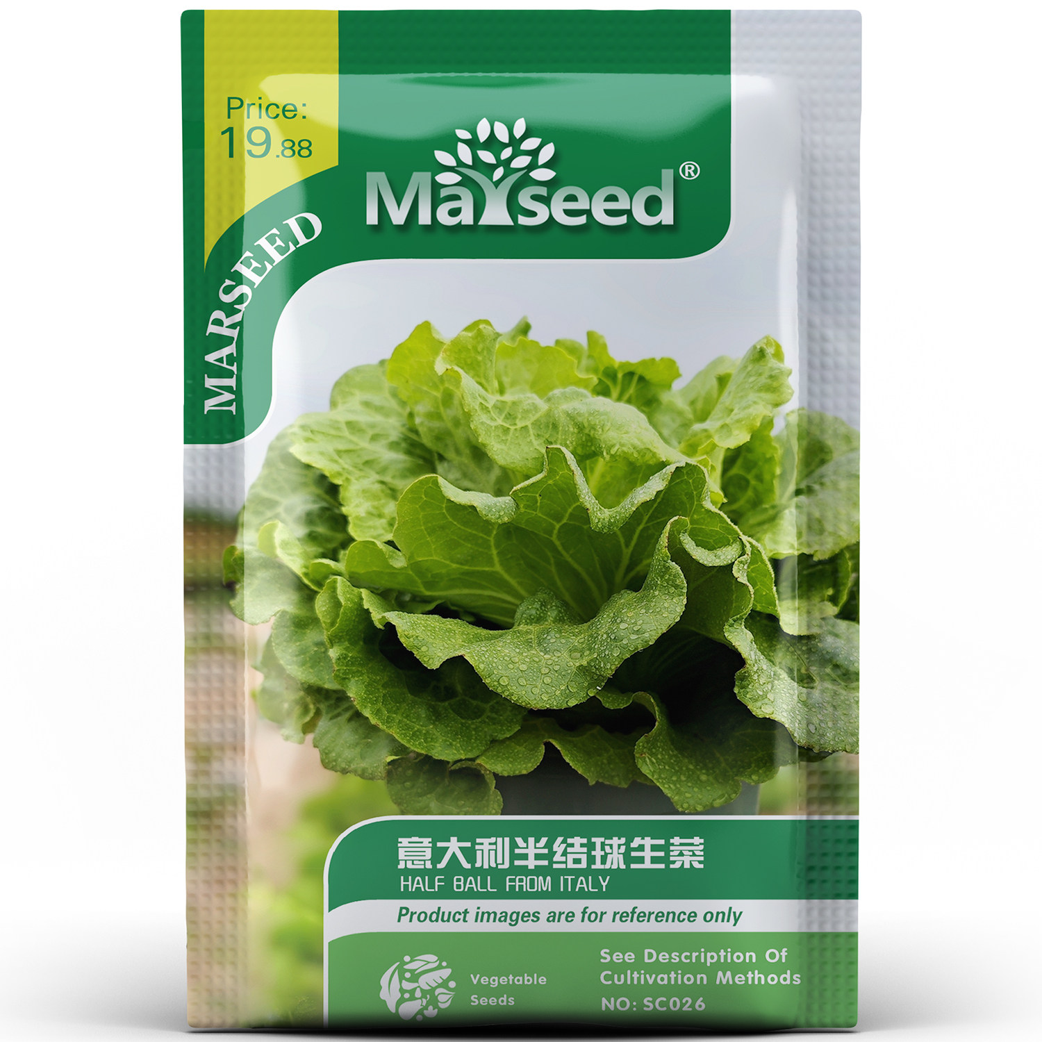 进口意大利半结球生菜叶色翠绿脆嫩爽口沙拉生食适合新手种孑子籽