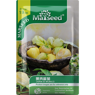 墨西哥传家宝果壳番茄种子