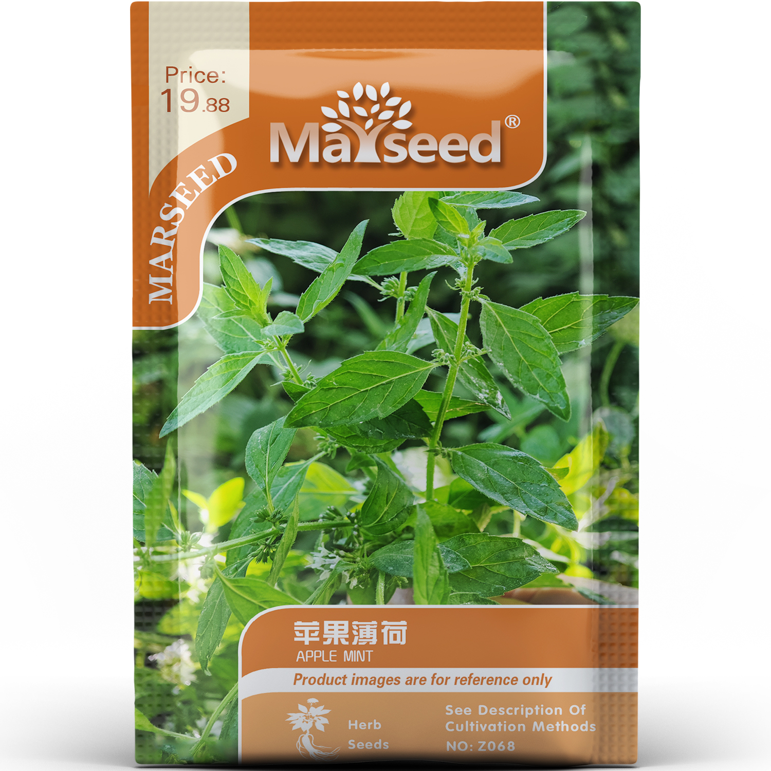 高香稀有品种苹果薄荷香草种子种苗叶片翠绿鲜嫩清甜花园盆栽A170