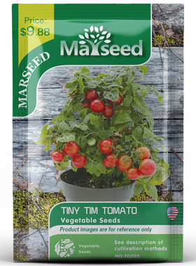 【MARSEED火星家】高产天竺葵之吻矮生小樱桃番茄种子孑籽苗阳台