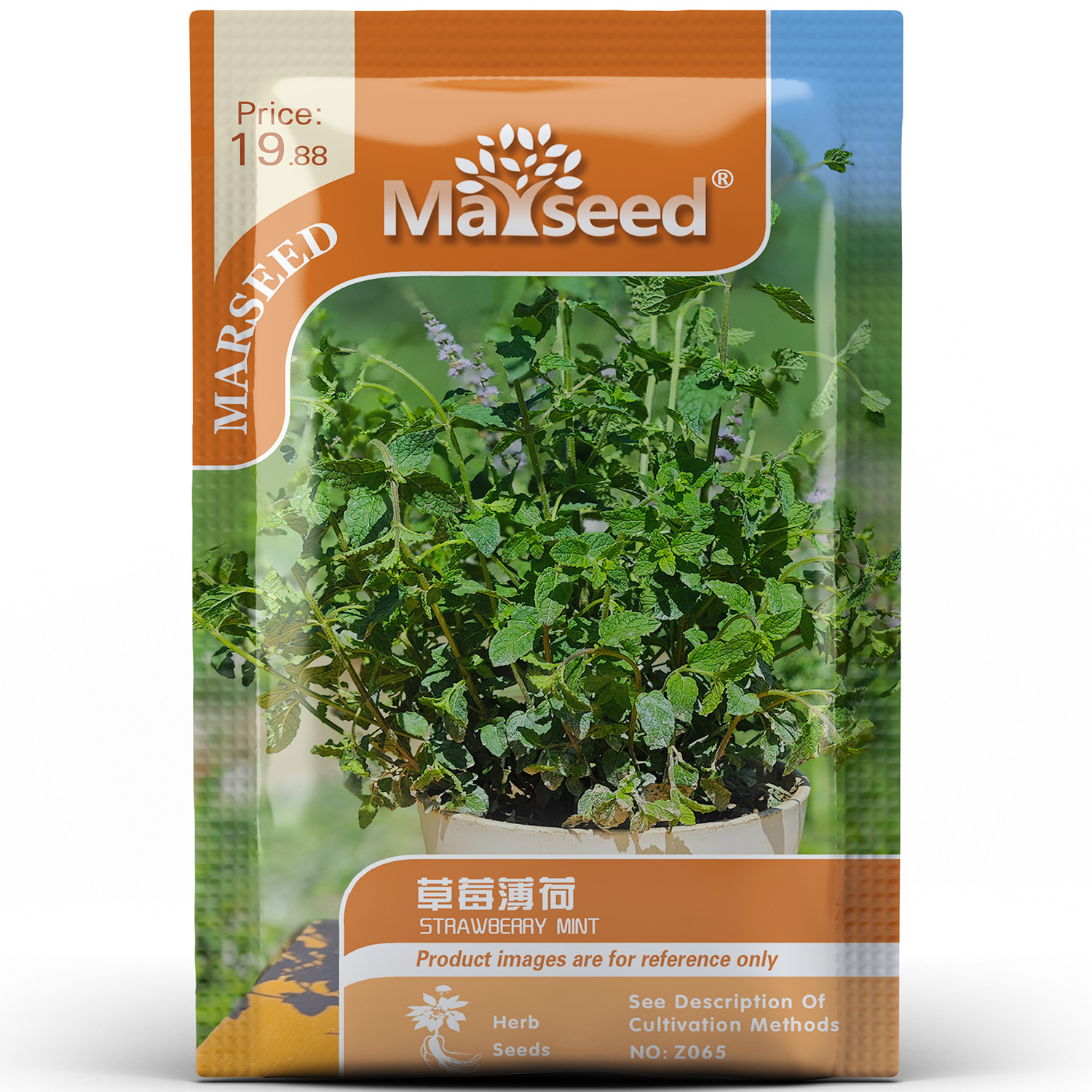 清香柔和可食用草莓薄荷种孑子籽 烹饪装饰庭院阳台盆栽家庭园艺