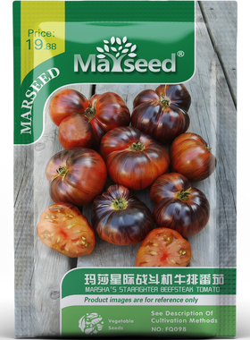 奇特星云纹玛莎星际战斗机牛排番茄种子种苗口感浓郁多汁蔬菜B196