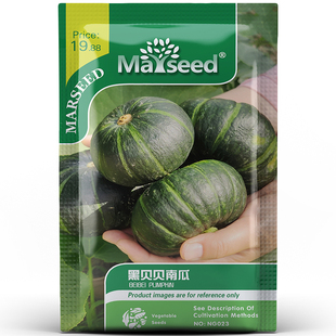 传家宝版绿贝贝板栗口味黑贝贝小南瓜种子籽孑苗非日本惠和版