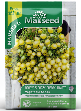 【官网高分】野猪农场新品BARRY CRAZY巴里的疯狂的巴里番茄种子