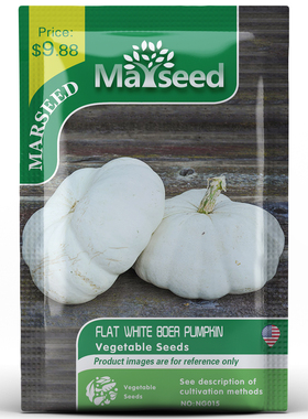 【MARSEED火星家】传家宝Flat White Boer 平白波尔南瓜种子秧苗