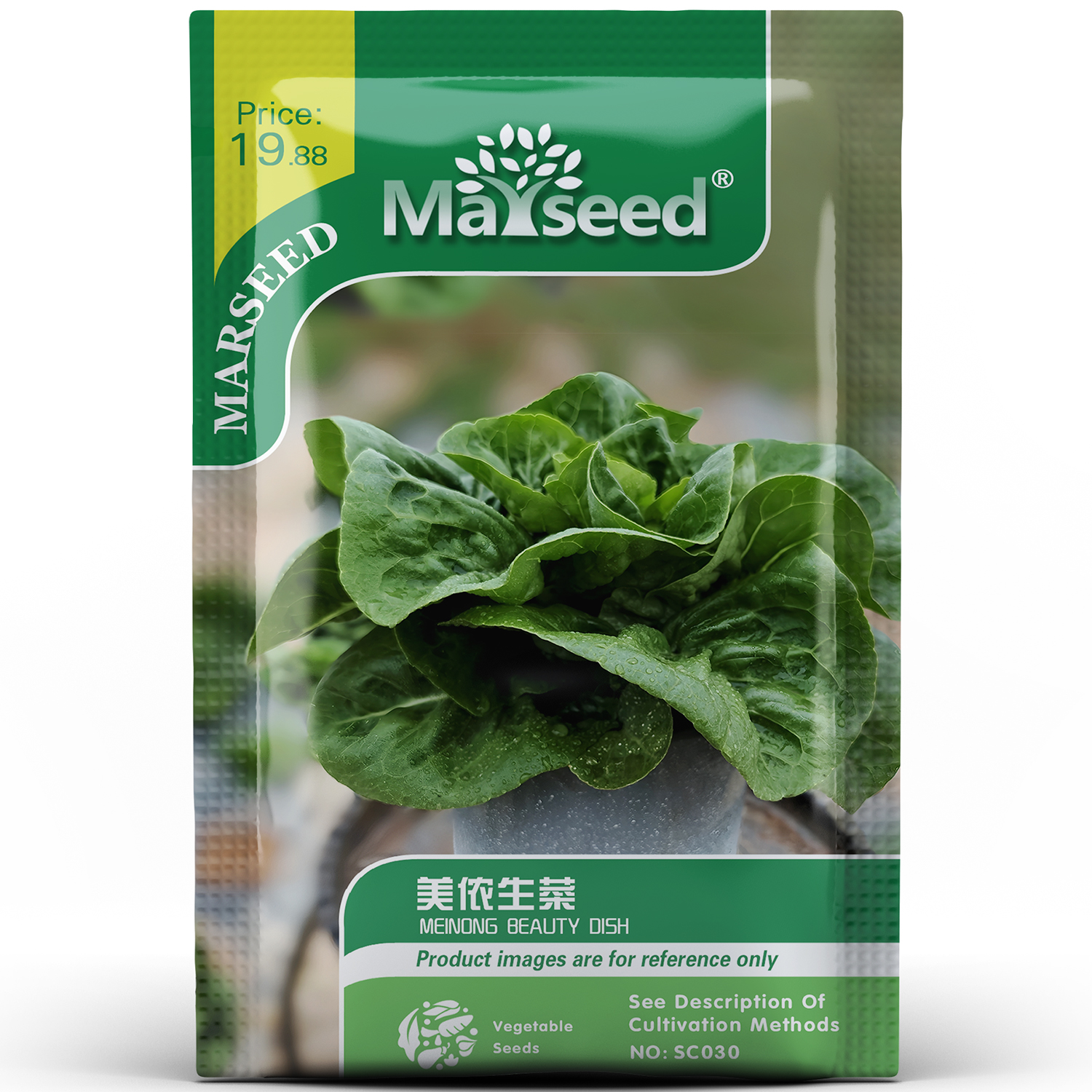 特色美味健康美侬养颜菜高产抗病家庭阳台盆栽易种活种孑子籽