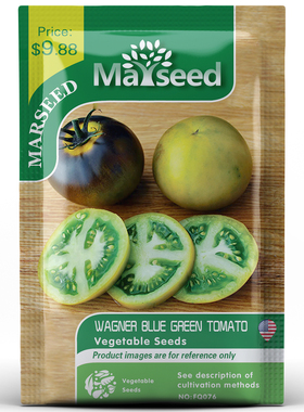 【MARSEED火星家】传家宝Wagner Blue Green瓦格纳蓝绿色番茄种子