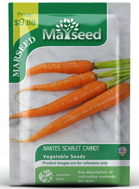 【MARSEED火星家】Nantes Scarlet Carrot南特胡萝卜种子籽孑苗