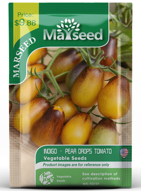 【MARSEED火星家】超级好吃传家宝靛蓝黑梨滴剂樱桃番茄种子